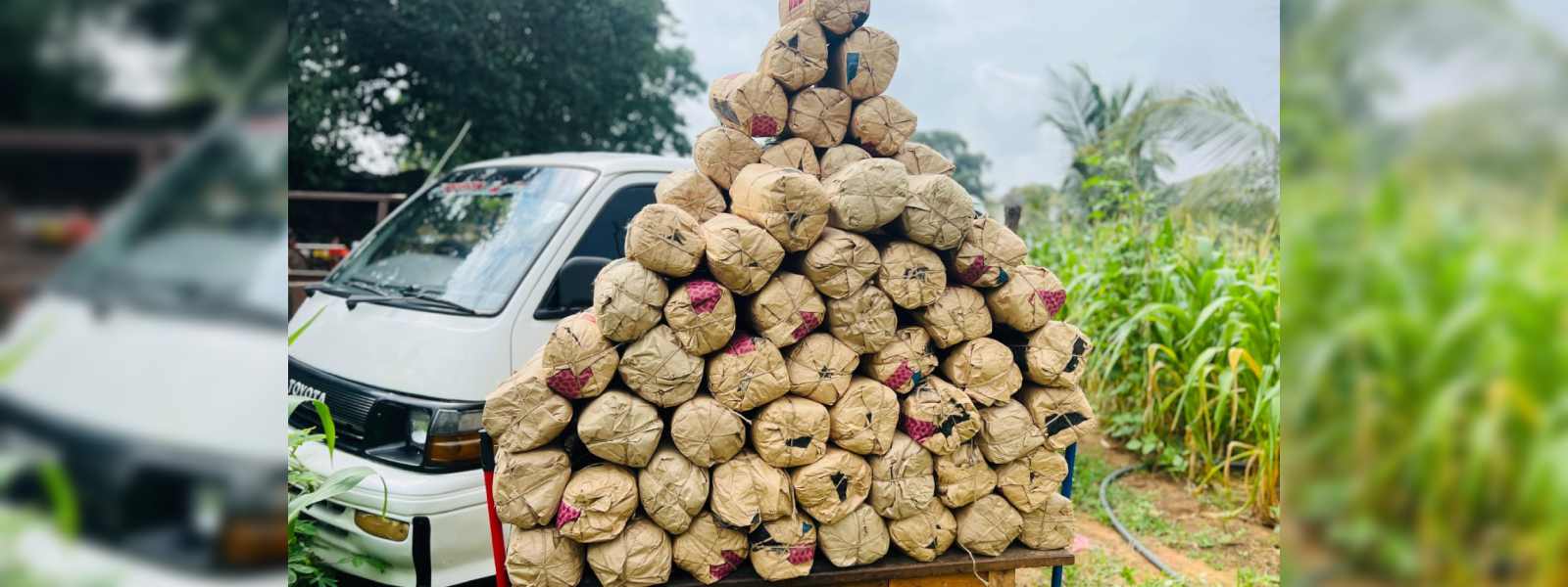 බණ්ඩාරවෙලදී ගංජා කිලෝ 111ක් සමග තිදෙනෙකු අත්අඩංගුව